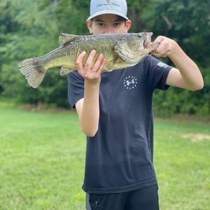 Meet your Posher, Joshua